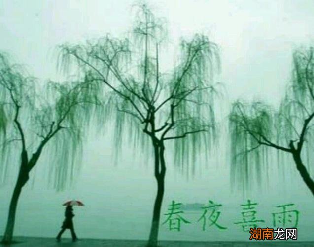 随风潜入夜的潜是什么意思