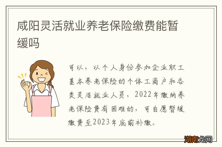 咸阳灵活就业养老保险缴费能暂缓吗