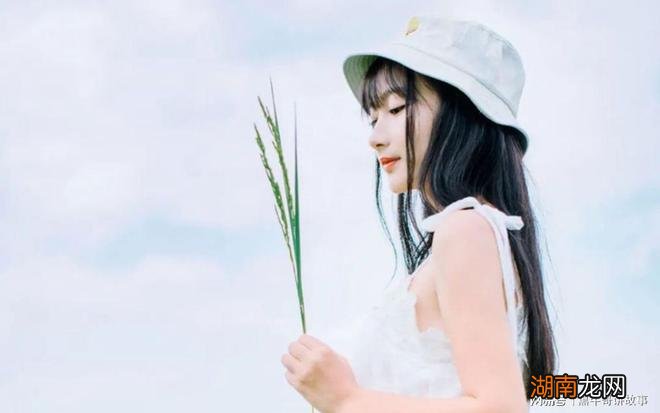 情感短文心灵鸡汤