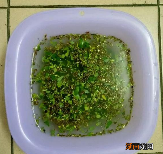 柳枝制作生根水需要浸泡几天 柳枝生根水的制作方法