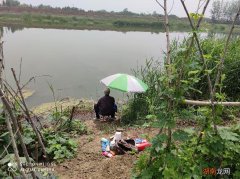 野钓鲫鱼的垂钓经验 钓鲫鱼是铅坠沉底还是钩沉底