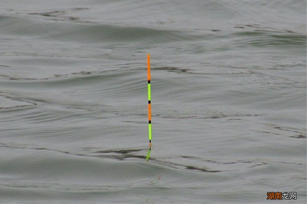 野钓鲫鱼的垂钓经验 钓鲫鱼是铅坠沉底还是钩沉底