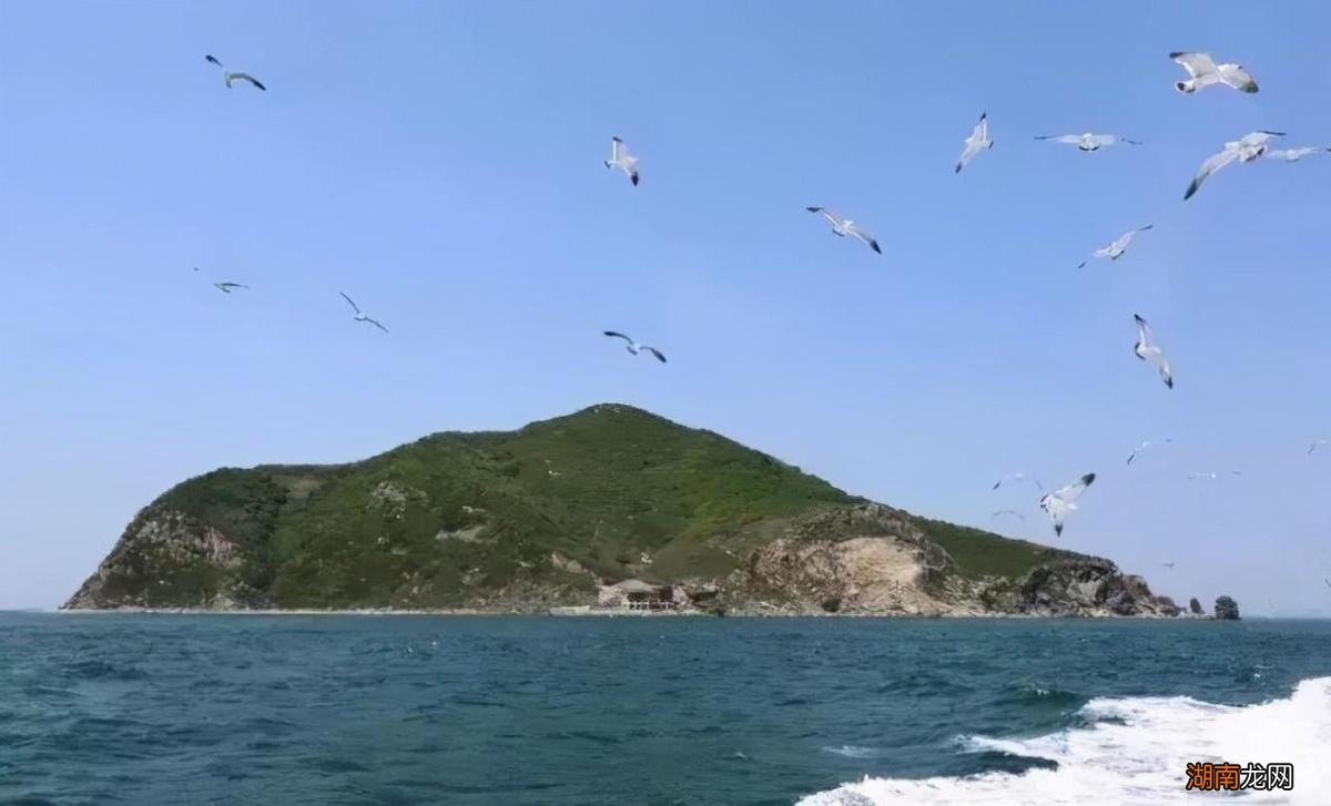 獴科的大部分动物都能以蛇类为食 蛇獴是什么动物