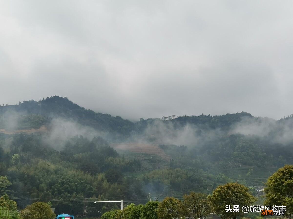 盘点浙江5大名茶品牌 浙江盛产什么茶叶品种