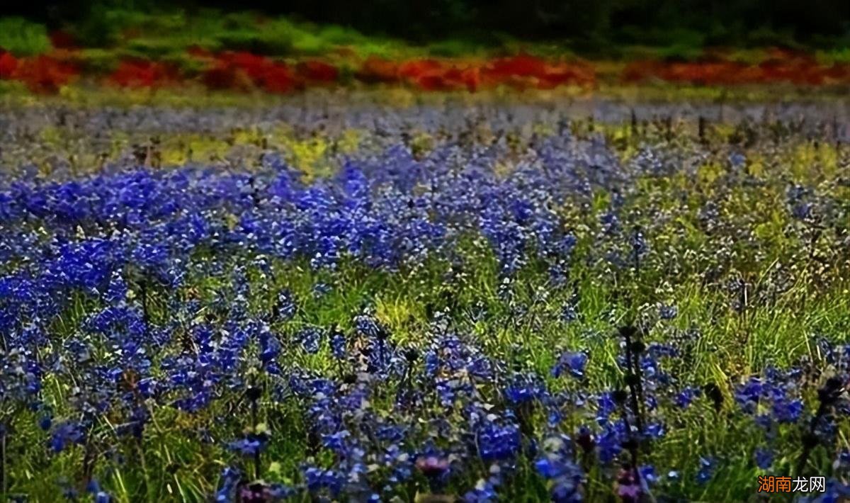 六月份这8个地方值得去走走 6月份去哪里旅游好玩一点