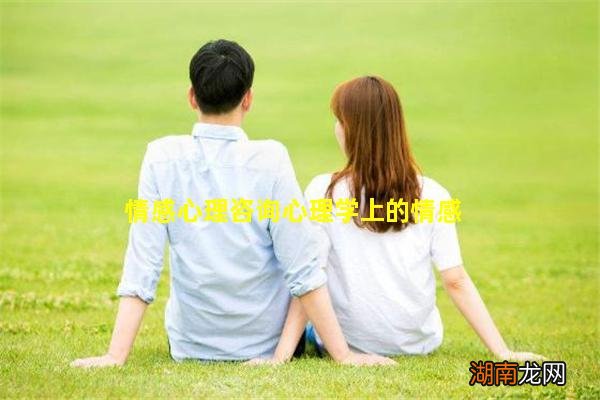 情感心理咨询心理学上的情感