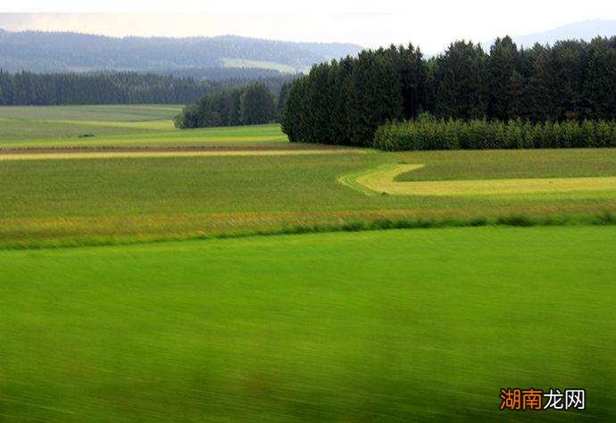 东欧平原地势特点 东欧平原位于哪个国家