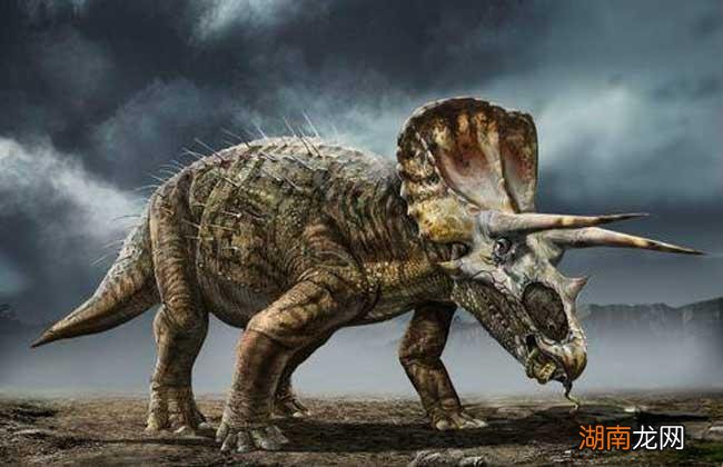 恐龙种类图片大全名字 恐龙种类介绍图解