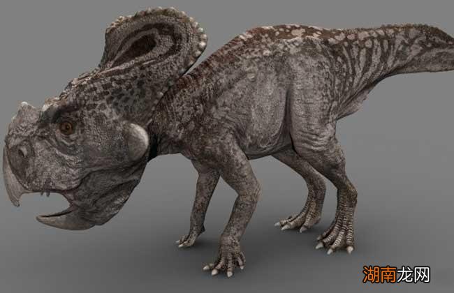 恐龙种类图片大全名字 恐龙种类介绍图解