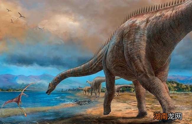 恐龙种类图片大全名字 恐龙种类介绍图解