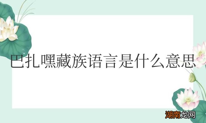巴扎嘿属于藏语的感叹词 巴扎嘿藏族语言是什么意思
