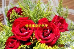 情感高涨的例子