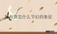 鲤鱼旗是什么节日的象征意义