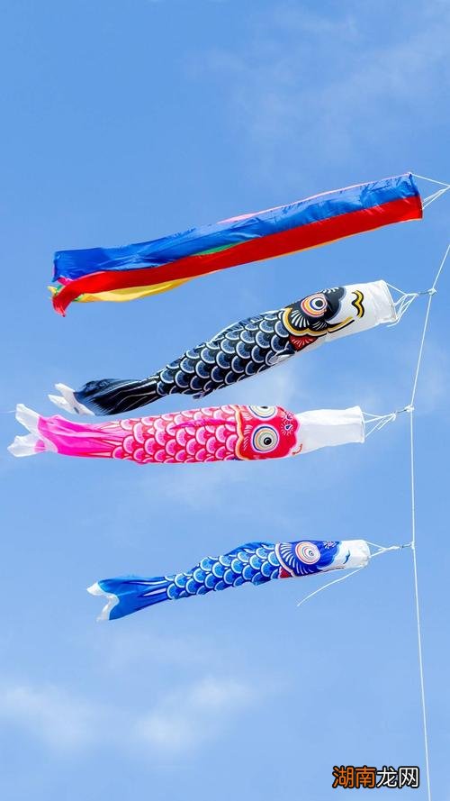鲤鱼旗是什么节日的象征意义