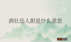 酒壮怂人胆是什么意思