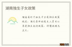 湖南独生子女政策
