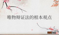 唯物辩证法的根本观点实质和核心