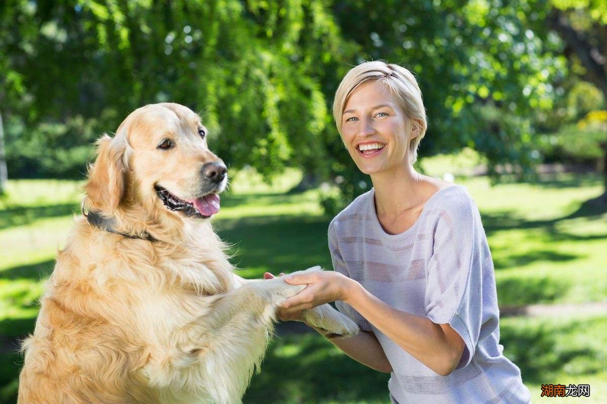 招动物喜欢其实是因为这几个原因 招动物喜欢的人有灵性
