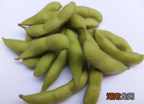 毛豆和黄豆是同一种东西吗