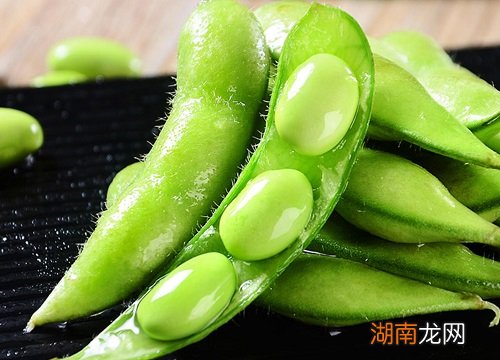 毛豆和黄豆是同一种东西吗