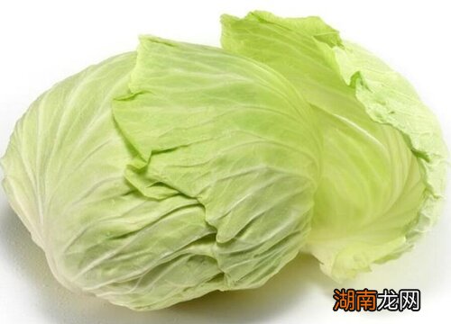 俗称叫的卷心菜长什么样子 高丽菜是什么菜图片