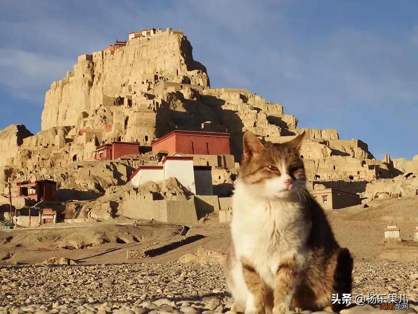 西藏阿里地区风景名胜 西藏阿里旅游景点有哪些好玩的