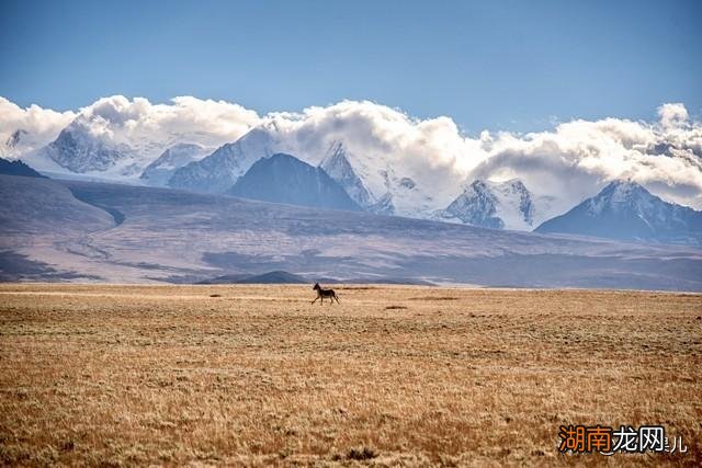 西藏阿里地区风景名胜 西藏阿里旅游景点有哪些好玩的