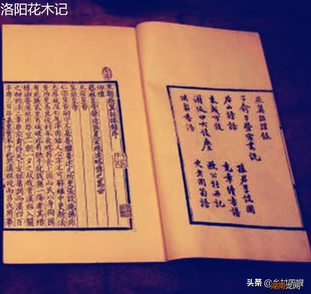 一口气搞懂桃的前世今生 桃子的原产地在哪里