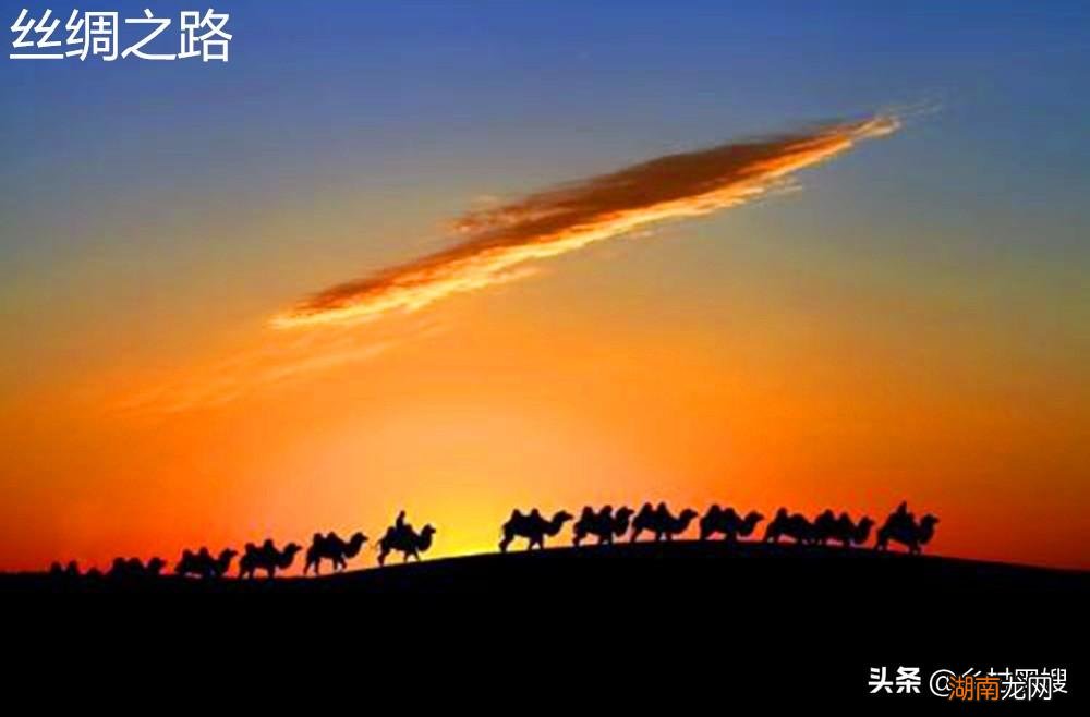 一口气搞懂桃的前世今生 桃子的原产地在哪里