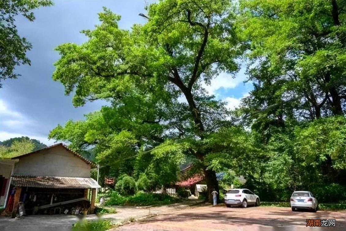 安徽宁国值得一去的4个旅游景点 宁国有什么好玩的地方吗