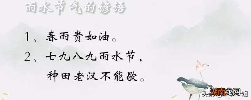 春天雨水这么金贵的特点原因 为什么说春雨贵如油