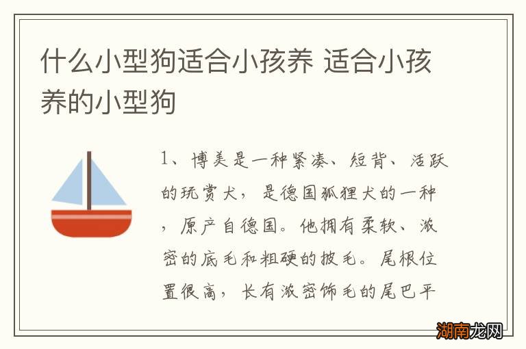 什么小型狗适合小孩养 适合小孩养的小型狗