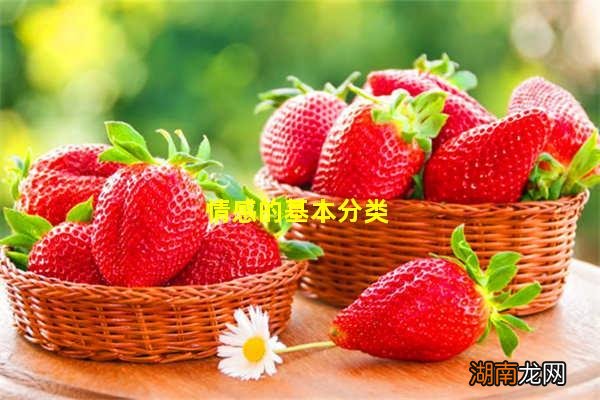 情感的基本分类