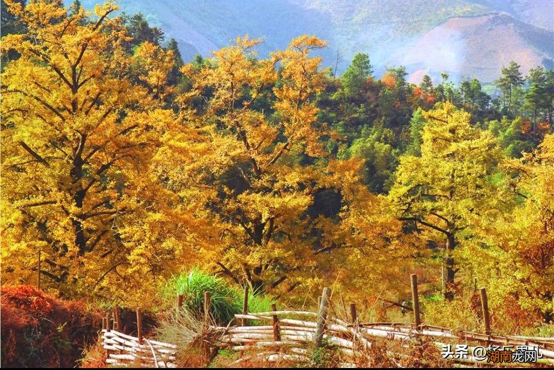 永州市必去旅游景点推荐 湖南永州旅游十大必去景区