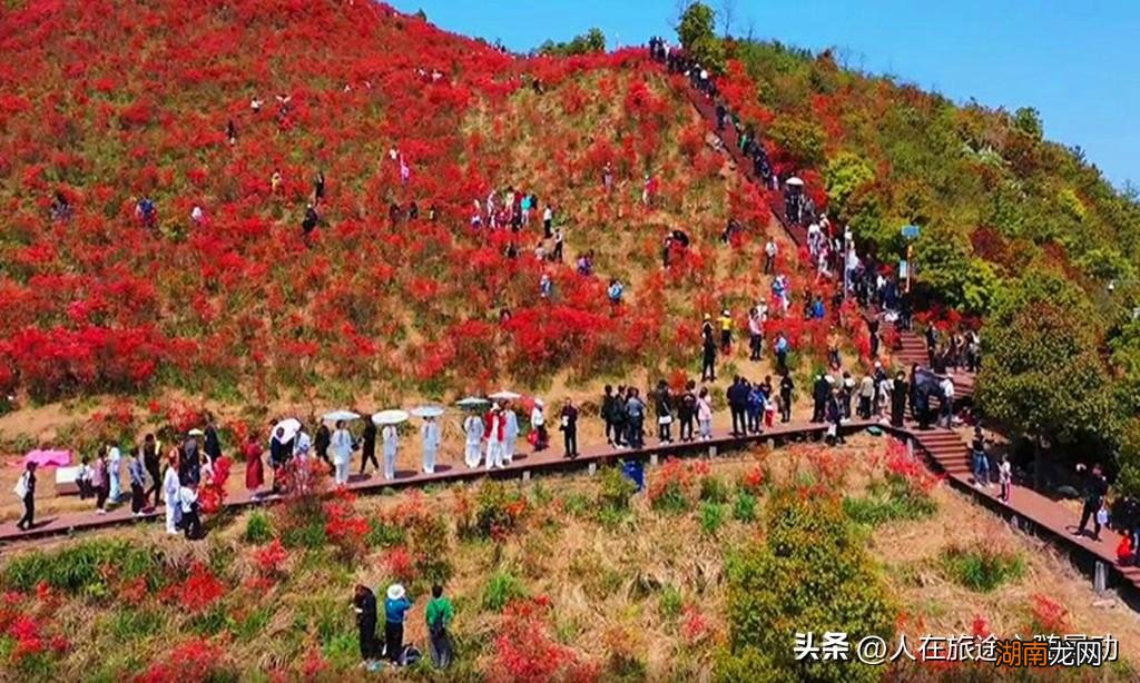 这8个小众景点有名气 瑞安有什么好玩的地方旅游景点