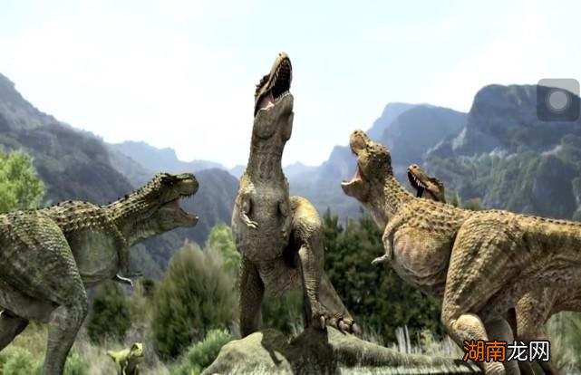 它们之间的关系渊源 特暴龙和霸王龙有什么区别