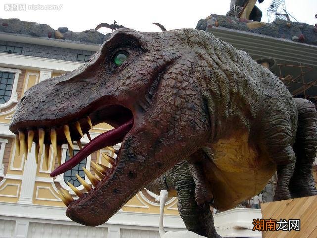 它们之间的关系渊源 特暴龙和霸王龙有什么区别