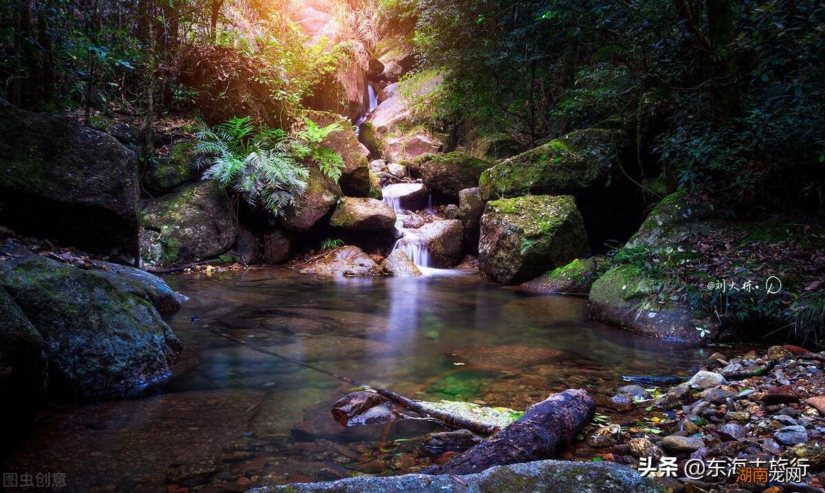 广东茂名五大美景的景区推荐 茂名有什么好玩的地方景点