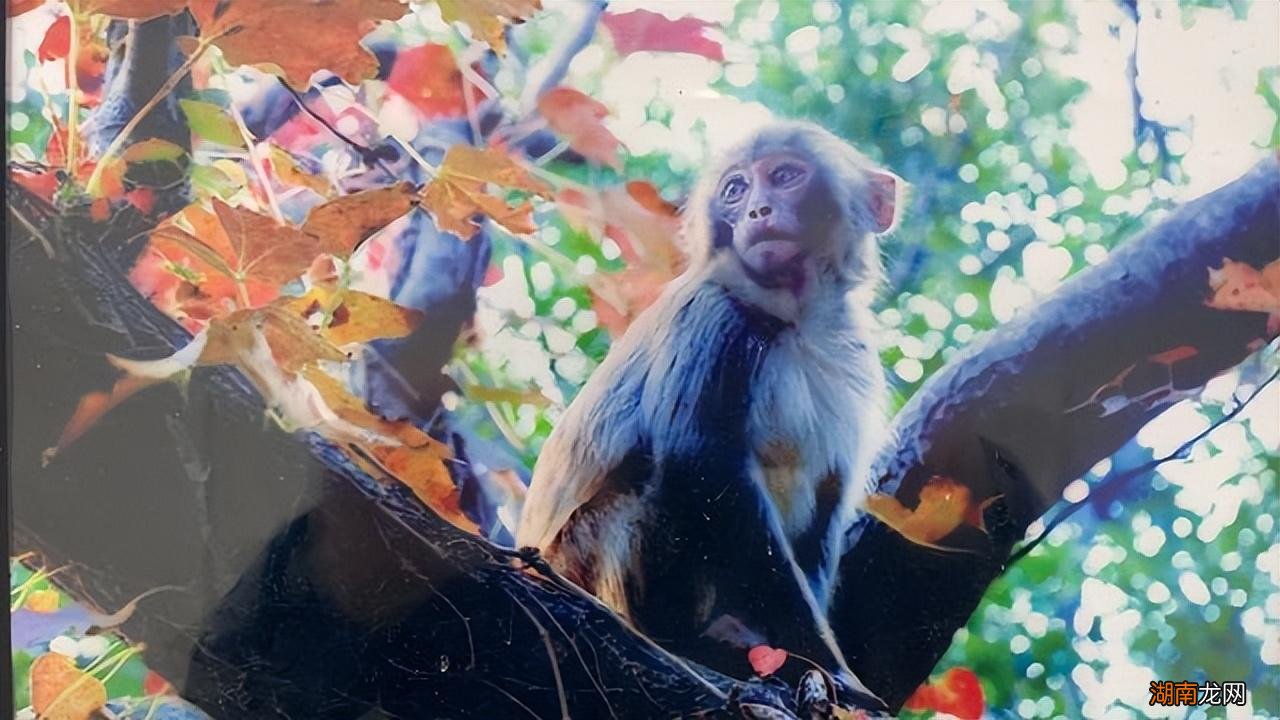 十五个必玩景点玩转连云港 连云港有什么好玩的地方和景点