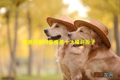 情感问题问答情感十大精辟段子