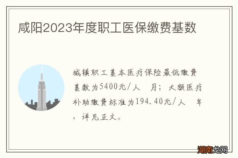 咸阳2023年度职工医保缴费基数