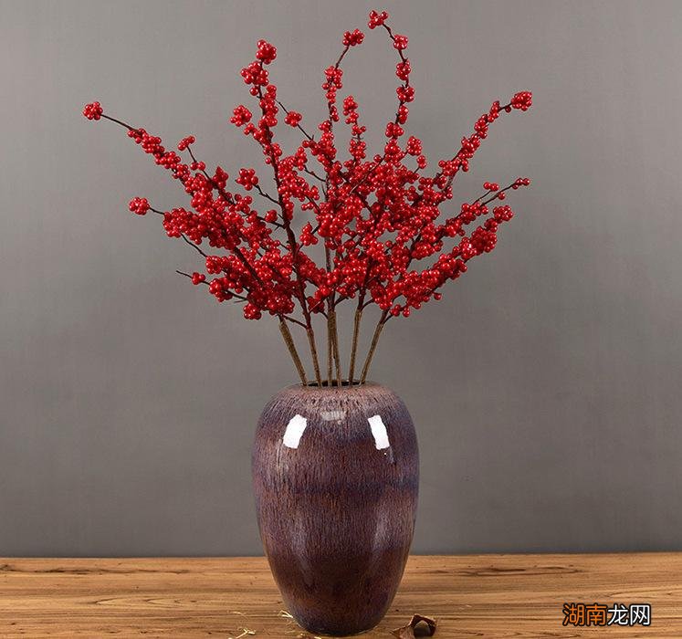 四季常青又耐寒的绿植 最耐寒的十大漂亮植物