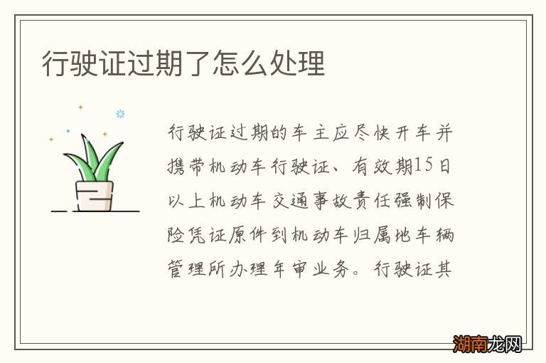 行驶证过期了怎么处理