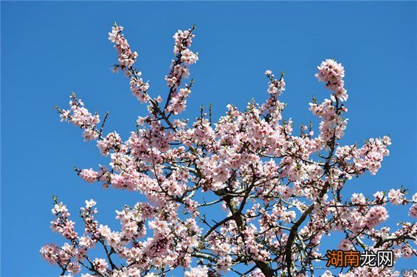 免费情感文案素材网站男女情感空间