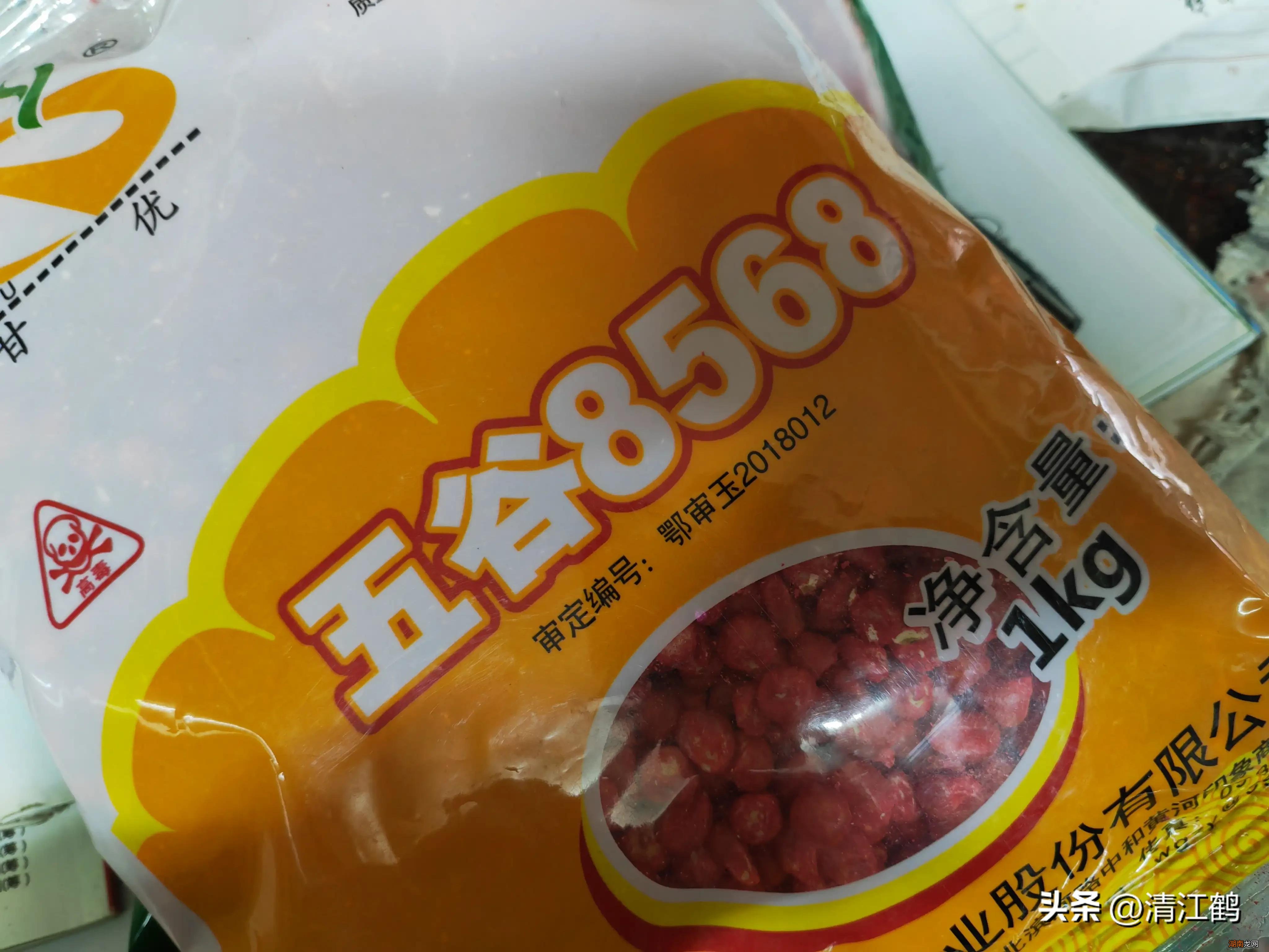 5个优质丰产玉米品种推荐 高产玉米种子排行