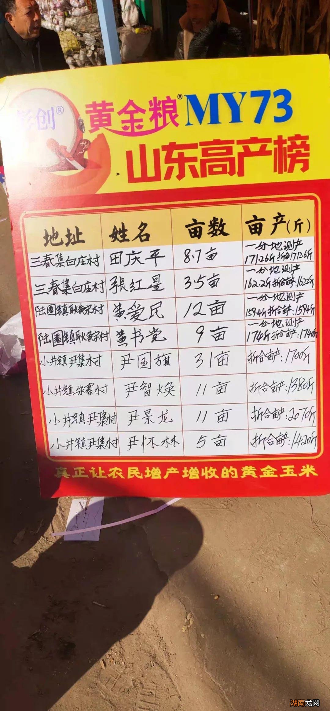 黄金粮MY73特征特性及产量表心啊 黄淮海最好的玉米品种