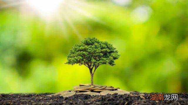 情感分几种类型