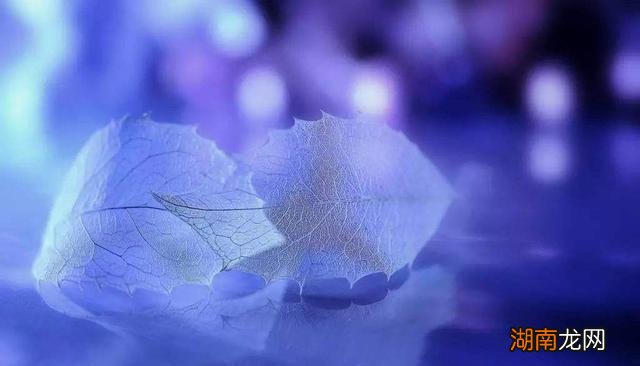 情感语录昵称情感缺失人格障碍自测