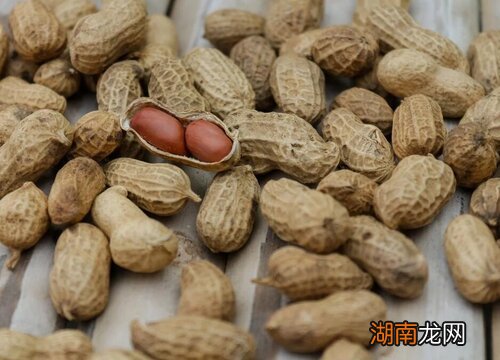 珍贵坚果种类图片 世界最珍贵十大坚果排名