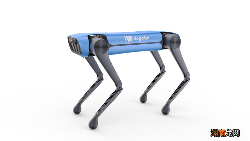 理智与情感美句